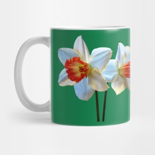 Daffodils - Two White And Orange Daffodils Mug